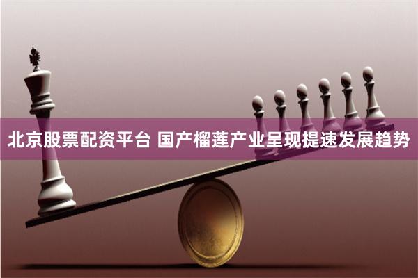 北京股票配资平台 国产榴莲产业呈现提速发展趋势