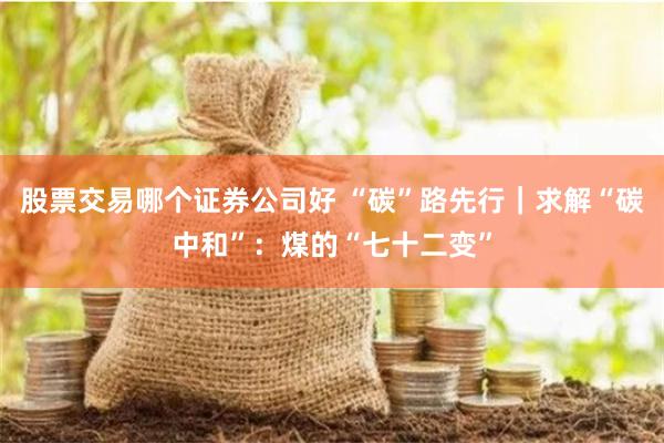 股票交易哪个证券公司好 “碳”路先行｜求解“碳中和”：煤的“七十二变”