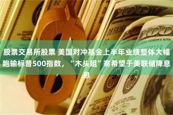 股票交易所股票 美国对冲基金上半年业绩整体大幅跑输标普500指数，“木头姐”寄希望于美联储降息