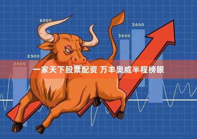 一家天下股票配资 万丰奥威半程榜眼
