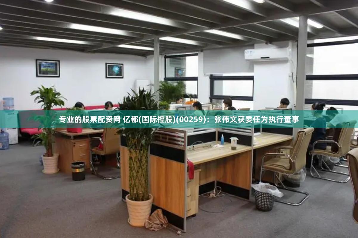 专业的股票配资网 亿都(国际控股)(00259)：张伟文获委任为执行董事