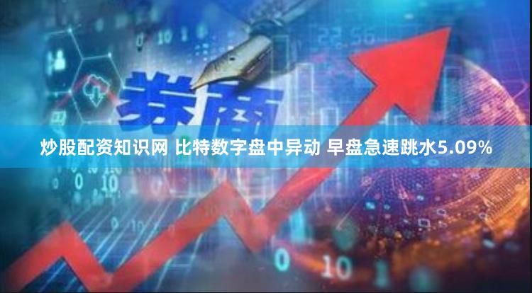 炒股配资知识网 比特数字盘中异动 早盘急速跳水5.09%
