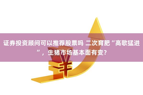 证券投资顾问可以推荐股票吗 二次育肥“高歌猛进”，生猪市场基本面有变？