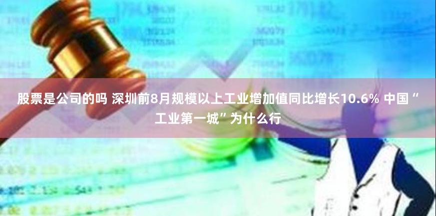 股票是公司的吗 深圳前8月规模以上工业增加值同比增长10.6% 中国“工业第一城”为什么行